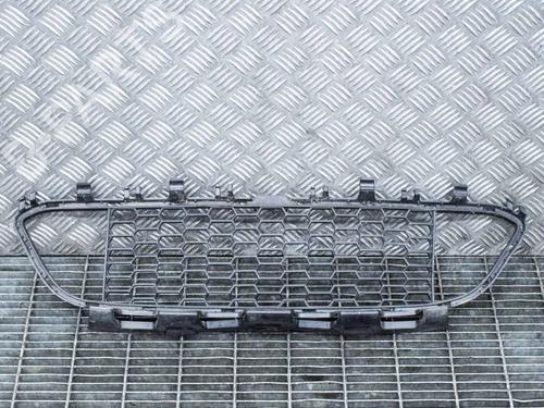 Used Grille BMW 3 Touring (F31) 335 d xDrive (313 hp) 14609563