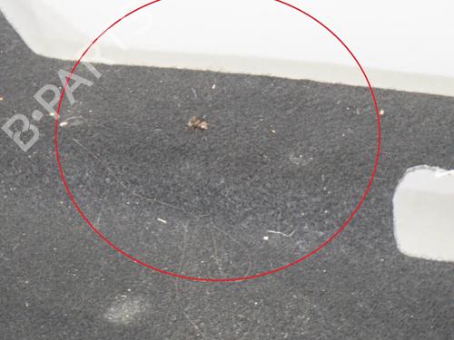 Luggage compartment floor TESLA MODEL 3 (5YJ3) EV AWD | BP27748759I33 - Image 6