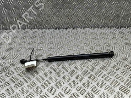 Hinge/Door check strap MERCEDES-BENZ S-CLASS (W221, V221) S 350 BlueTec (221.026, 221.126) | BP29404774C146 