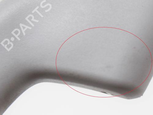 Interior roof handle BMW X1 (F48) sDrive 18 d | BP14623569I35 