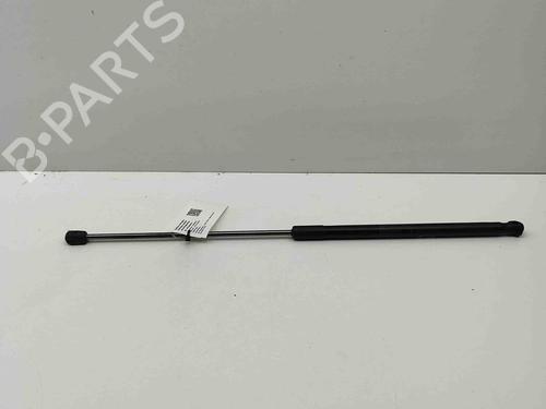Tailgate lift support LAND ROVER RANGE ROVER EVOQUE (L538) 2.0 D 4x4 | BP28434309C138