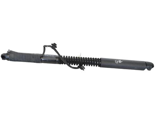 Deurscharnier/Deurvanger TESLA MODEL X (5YJX) P100D AWD (772 hp) 30252615