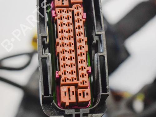 Wiring harness AUDI A5 (8T3) S5 quattro | BP14659306E16 