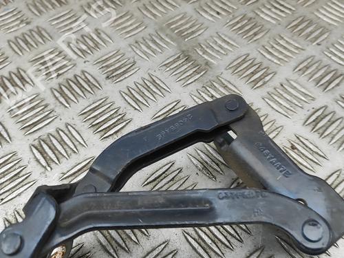 Hinge/Door check strap JAGUAR XJ (X350, X358) D 2.7 | BP31021257C146