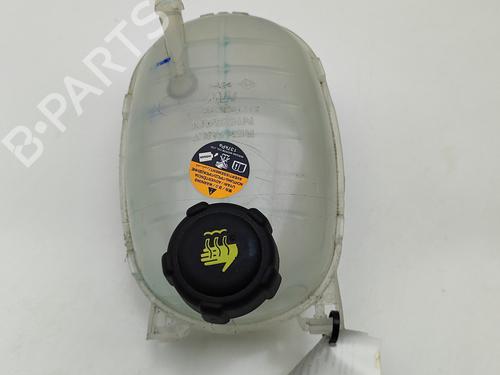 Used Expansion tank NISSAN JUKE (F16_) DIG-T 117 (117 hp) 28433460
