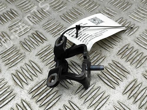 Hinge/Door check strap CUPRA BORN (K11) 58 | BP32213664C146