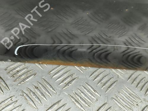 Left front door ISUZU D-MAX I (TFR, TFS) 3.0 DiTD 4x4 (TFS85_) | BP29227247C2 