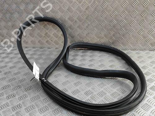 Rubber door seal FIAT 500 (312_) 1.0 Mild Hybrid (312.AYD1B) | BP29392316C142 