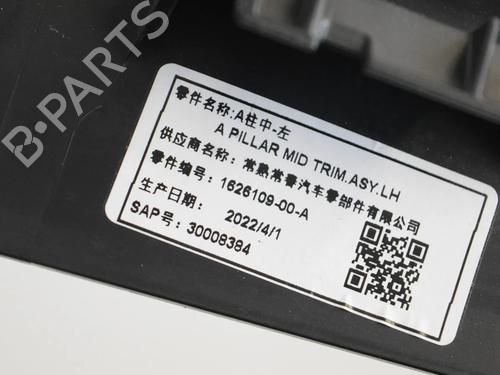 Other TESLA MODEL Y (5YJY) EV Performance All-wheel Drive | BP30248122O1