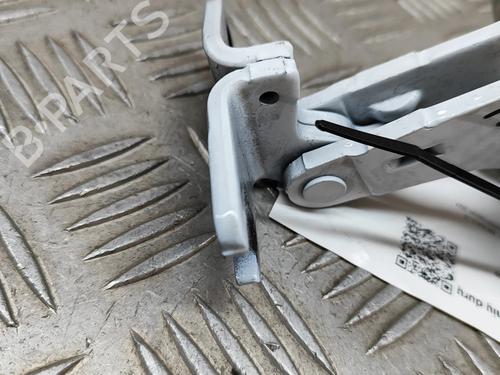 Hinge/Door check strap TESLA MODEL 3 (5YJ3) EV AWD | BP27768562C146 