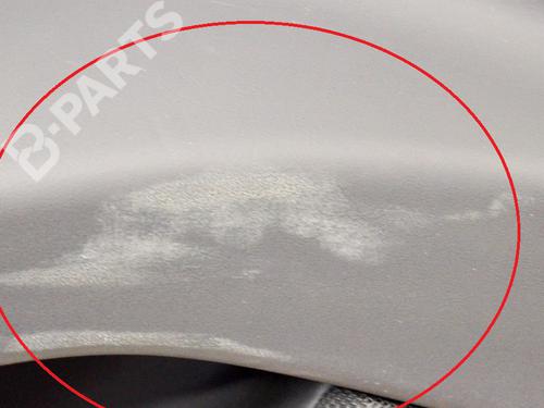 Front left panel TESLA MODEL X (5YJX) P100D AWD | BP8624950C58 