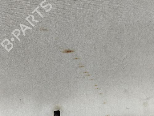 Interior roof CITROËN C4 CACTUS 1.6 BlueHDi 100 | BP29975305I12