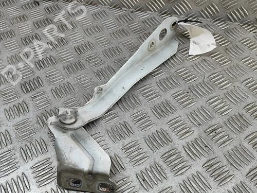 Hinge/Door check strap OPEL MOVANO B Van (X62) 2.3 CDTI FWD (FV) | BP27205717C146 