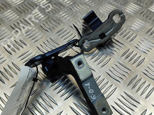 Hinge/Door check strap VOLVO XC40 (536) Recharge AWD | BP29076059C146 
