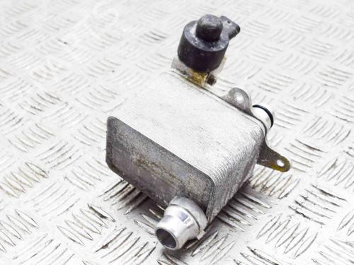 Oil radiator TESLA MODEL 3 (5YJ3) EV AWD | BP27751004M33