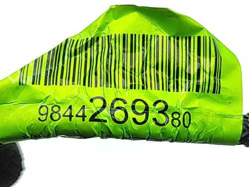 Camera PEUGEOT 2008 II (UD_, US_, UY_, UJ_, UR_, UC_) e-2008 (UKZKXZ) | BP30131340E14