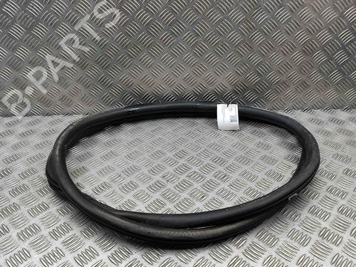 Rubber door seal FORD KUGA III (DFK) 2.5 Duratec Plug-in-Hybrid | BP29487248C142 