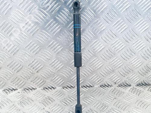 Hood lift support BMW 1 (F20) M 135 i | BP14611887C139 