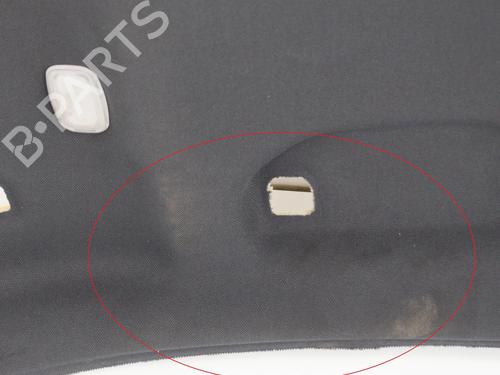 Interior roof MERCEDES-BENZ C-CLASS (W204) C 200 CDI (204.007, 204.006) | BP14608431I12 