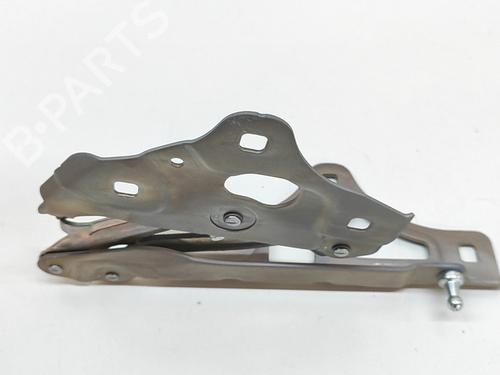 Hinge/Door check strap MERCEDES-BENZ B-CLASS Sports Tourer (W245) B 180 CDI (245.207) | BP28688388C146 