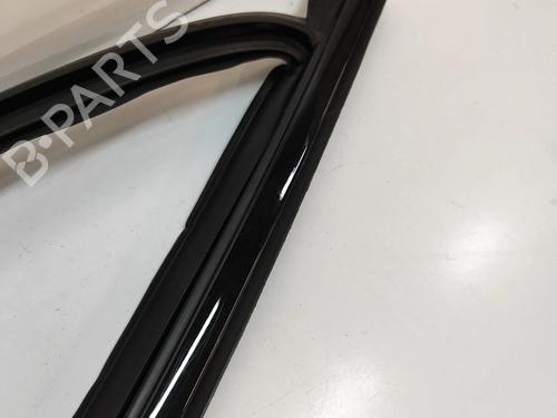 Door moulding trim VOLVO XC90 II (256) B5 Mild Hybrid AWD | BP28558843C150