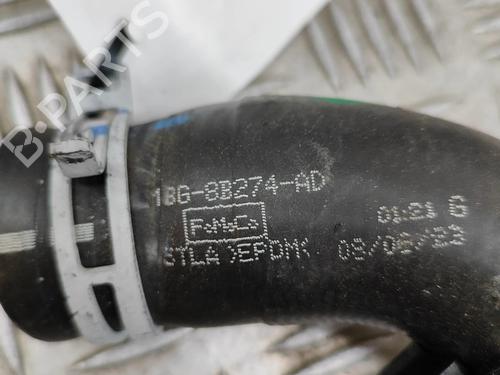 Pipe FORD PUMA (J2K, CF7) 1.0 EcoBoost mHEV | BP33368037M125 - Image 6