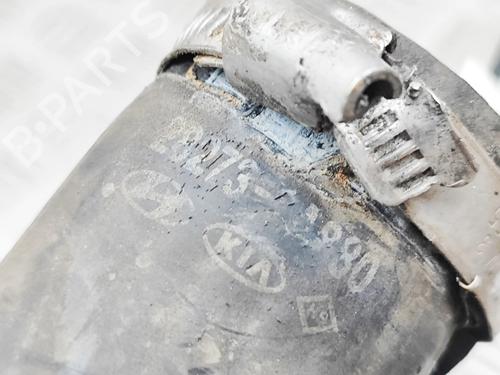Pipe KIA OPTIMA (JF) 1.7 CRDi | BP35790464M125  - Image 6