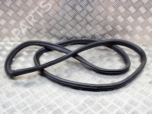 Used Rubber door seal BMW X3 (F25) sDrive 18 d (150 hp) 14629251