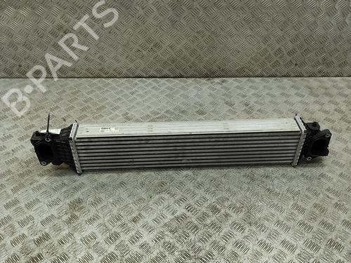 Intercooler HONDA CIVIC X Hatchback (FC_, FK_) 2.0 Type-R (FK8) | BP20232544M30 