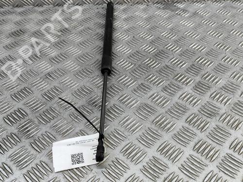 Tailgate lift support VW GOLF VII (5G1, BQ1, BE1, BE2) e-Golf | BP27350514C138 