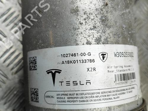 Left rear shock absorber TESLA MODEL X (5YJX) P100D AWD | BP34443587M18  - Image 6