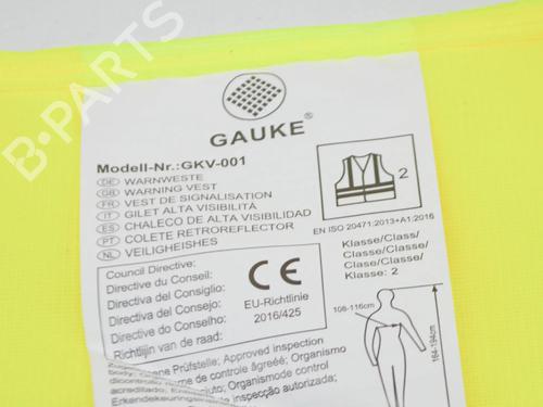 Outra TESLA MODEL 3 (5YJ3) EV AWD | BP27763386O1 