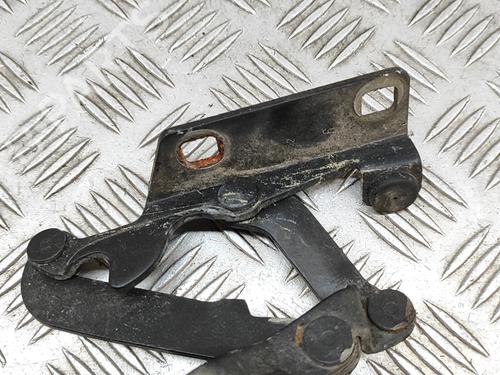 Hinge/Door check strap FIAT BARCHETTA (183_) 1.8 16V | BP26739717C146 