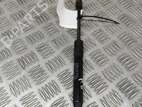 Hood lift support BMW 4 Coupe (F32, F82) M4 | BP26500485C139 