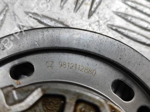 Pulley CITROËN C4 III (BA_, BB_, BC_) 1.2 PureTech 130 (BAHNSA, BAHNSB) | BP28551888M122 