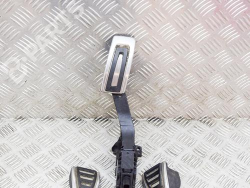 Used Pedal Pedal VW TIGUAN (AD1, AX1) 2.0 TDI (150 hp) 10070059 10070059