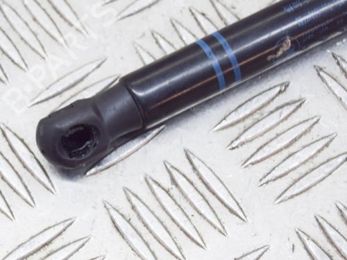 Hood lift support BMW 1 (F20) M 135 i | BP14622458C139 