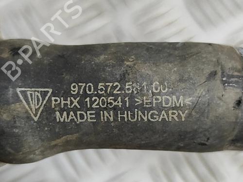  - Image 7