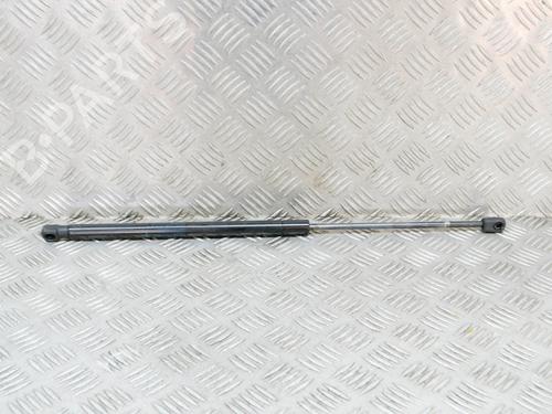 Used Tailgate lift support LAND ROVER RANGE ROVER SPORT I (L320) 2.7 D 4x4 (190 hp) 14638033