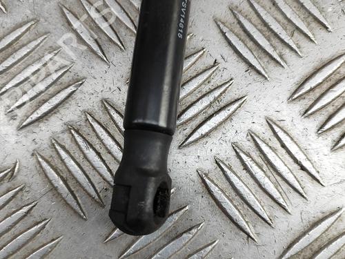 Hood lift support ALFA ROMEO STELVIO (949_) 2.9 Q4 (949.AXG2A, 949.AXH2A, 949.AXS2A) | BP28955086C139 