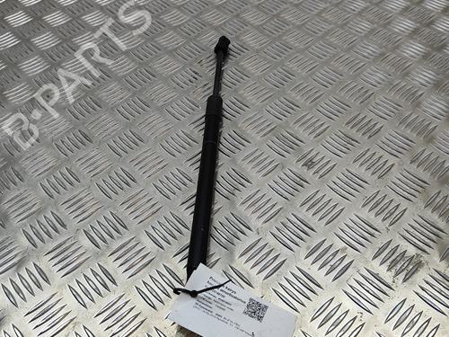 Hood lift support BMW 7 (G11, G12) 730 d, Ld | BP19501024C139 