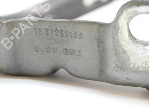 Used Hinge/Door check strap VOLVO S80 II (124) 2.4 D (175 hp) 30284504