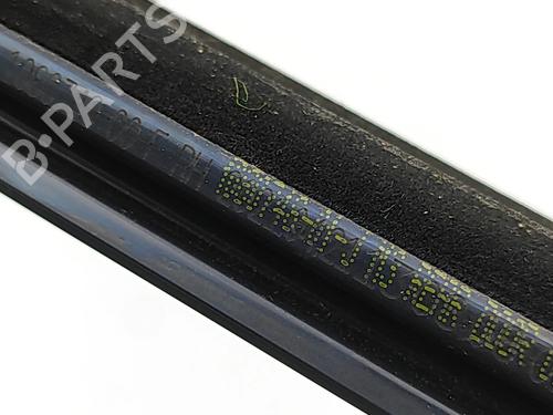 Dørliste TESLA MODEL 3 (5YJ3) EV AWD | BP32680520C150 - Image 5