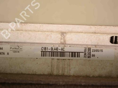 Intercooler FORD FIESTA VI (CB1, CCN) 1.0 EcoBoost | BP30217748M30