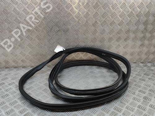 Rubber door seal OPEL MOVANO B Van (X62) 2.3 CDTI FWD (FV) | BP26311374C142 
