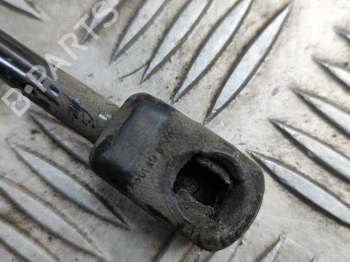 Hood lift support VW GOLF VII (5G1, BQ1, BE1, BE2) e-Golf | BP27295454C139 