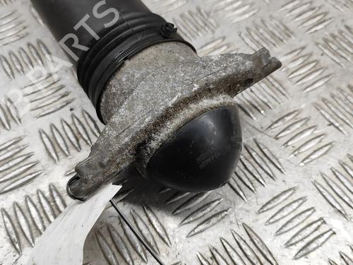 Venstre bagtil støddæmper VW GOLF VIII (CD1, DA1) 1.5 TSI | BP27782208M18 