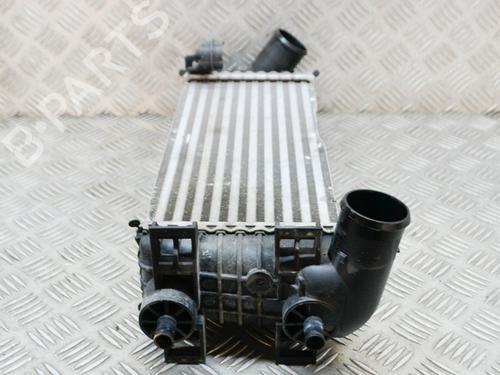 Intercooler FORD FOCUS III 1.0 EcoBoost | BP28387767M30