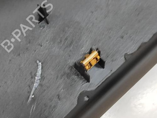 Consola central TESLA MODEL S (5YJS) P100D AWD | BP28497953I22 