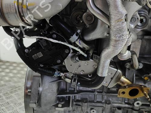 Engine KIA SPORTAGE V (NQ5) 1.6 T-GDi Hybrid AWD | BP28275425M1 